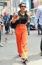 PRIYANKA CHOPRA Out with Her Dog in  New York 07/13/2018