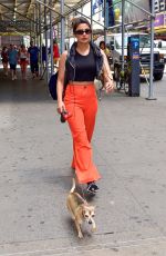 PRIYANKA CHOPRA Out with Her Dog in  New York 07/13/2018