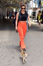 PRIYANKA CHOPRA Out with Her Dog in  New York 07/13/2018