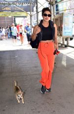 PRIYANKA CHOPRA Out with Her Dog in  New York 07/13/2018