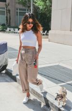 PRIYANKA CHOPRA Out with Her Dog in New York 07/14/2018
