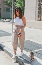 PRIYANKA CHOPRA Out with Her Dog in New York 07/14/2018