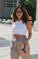 PRIYANKA CHOPRA Out with Her Dog in New York 07/14/2018