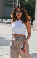 PRIYANKA CHOPRA Out with Her Dog in New York 07/14/2018