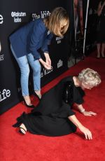 ROSE BYRNE at The Wife Premiere in Los Angeles 07/23/2018
