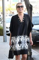 SHARON STONE Out Shopping in Beverly Hills 07/19/2018