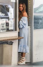 SOFIA VERGARA Out and About in Los Angeles 07/11/2018