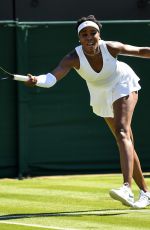 VENUS WILLIAMS at Wimbledon Tennis Championships in London 07/02/2018