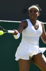 VENUS WILLIAMS at Wimbledon Tennis Championships in London 07/02/2018