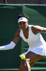 VENUS WILLIAMS at Wimbledon Tennis Championships in London 07/02/2018