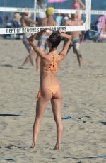 ALESSANDRA AMBROSIO in Bikini at a Beach in Los Angeles 08/05/2018