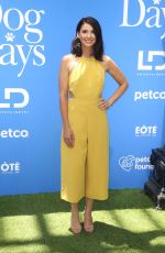 BETH DOVER at Dog Days Premiere in Century City 08/05/2018