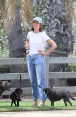 CALISTA FLOCKHART Out with Her Dogs in Santa Monica 08/20/2018