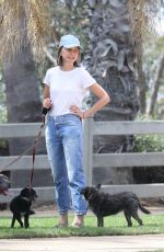 CALISTA FLOCKHART Out with Her Dogs in Santa Monica 08/20/2018