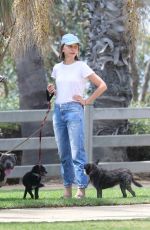 CALISTA FLOCKHART Out with Her Dogs in Santa Monica 08/20/2018