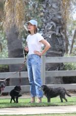 CALISTA FLOCKHART Out with Her Dogs in Santa Monica 08/20/2018