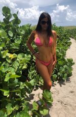 CLAUDIA ROMANI in Bikini at Delray Beach 08/09/2018