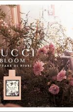 DAKOTA JOHNSON for Gucci