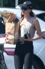 DAKOTA JOHNSON Out Shopping in Los Angeles 08/17/2018