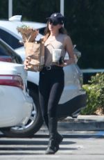 DAKOTA JOHNSON Out Shopping in Los Angeles 08/17/2018