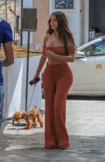 DEMI ROSE MAWBY Out with Her Dog in Ibiza 08/08/2018