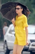FAMKE JANSSEN Out in New York 08/28/2018