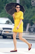 FAMKE JANSSEN Out in New York 08/28/2018