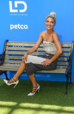 JESSICA SZOHR at Dog Days Premiere in Century City 08/05/2018