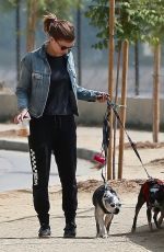 KATE MARA Out with Her Dogs in Los Angeles 08/25/2018