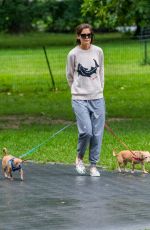 KATIE HOLMES Out with Her Dogs in New York 08/13/2018