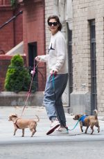 KATIE HOLMES Out with Her Dogs in New York 08/13/2018
