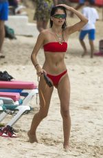 KIM TURNBULL in Bikini at a Beach in Barbados 08/11/2018