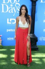 LELI HERNANDEZ at Dog Days Premiere in Century City 08/05/2018