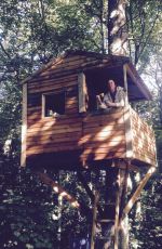 LISA APPLETON Frced to Live in Tree House in Wolverhampton 08/14/2018