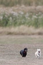 MICHELLE KEEGAN Out with Her Dogs in Essex 08/08/2018