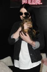 MICHELLE TRACHTENBERG at Crumbs & Whiskers Kitten Party in Los Angeles 08/24/2018