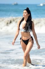 NICOLE WILLIAMS in Bkini at a Beach in Mykonos 08/07/2018