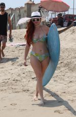 PHOEBE PRICE in Bikini on the Beach in Malibu 08/12/2018