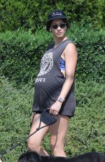 Pregnant TROIAN BELLISARIO Out with Her Dog in New York 08/16/2018