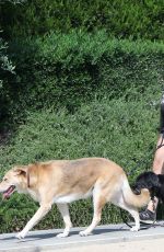 Pregnant TROIAN BELLISARIO Out with Her Dog in New York 08/16/2018