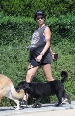 Pregnant TROIAN BELLISARIO Out with Her Dog in New York 08/16/2018