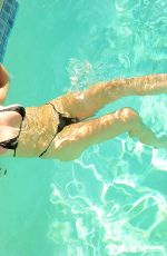 RENA RIFFEL in Bikini at a Pool in Los Angeles 08/23/2018