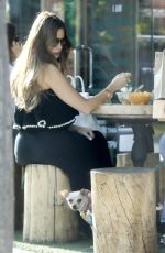 SOFIA VERGARA at Kreation Organic Juicery in Beverly Hills 08/20/2018