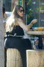 SOFIA VERGARA at Kreation Organic Juicery in Beverly Hills 08/20/2018