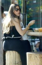 SOFIA VERGARA at Kreation Organic Juicery in Beverly Hills 08/20/2018