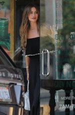 SOFIA VERGARA at Kreation Organic Juicery in Beverly Hills 08/20/2018