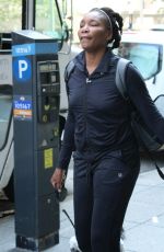VENUS WILLIAMS Out with Her Dog in New York 08/24/2018
