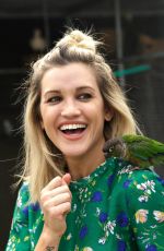 ASHLEY ROBERTS at Face of Amazon Pets