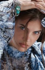 BARBARA PALVIN in Harper