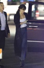 DAKOTA JOHNSON at Beyonce and Jay-Z On the Run II Tour in Pasadena 09/23/2018